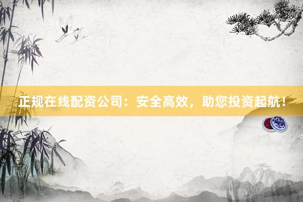 正规在线配资公司：安全高效，助您投资起航！
