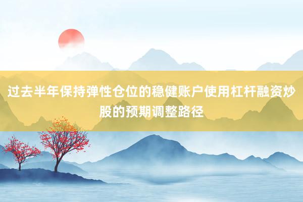 过去半年保持弹性仓位的稳健账户使用杠杆融资炒股的预期调整路径