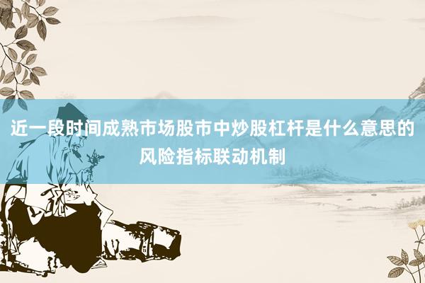 近一段时间成熟市场股市中炒股杠杆是什么意思的风险指标联动机制