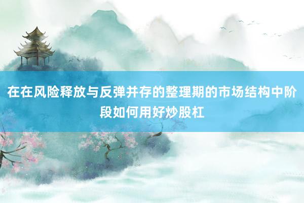 在在风险释放与反弹并存的整理期的市场结构中阶段如何用好炒股杠