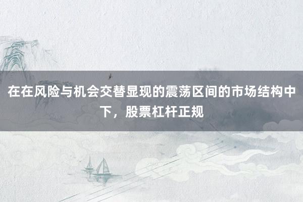 在在风险与机会交替显现的震荡区间的市场结构中下，股票杠杆正规