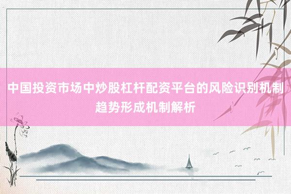 中国投资市场中炒股杠杆配资平台的风险识别机制趋势形成机制解析