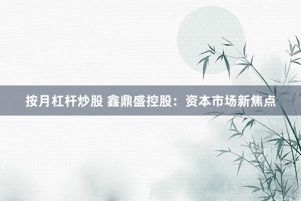 按月杠杆炒股 鑫鼎盛控股：资本市场新焦点