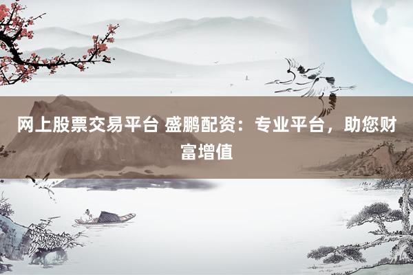 网上股票交易平台 盛鹏配资：专业平台，助您财富增值