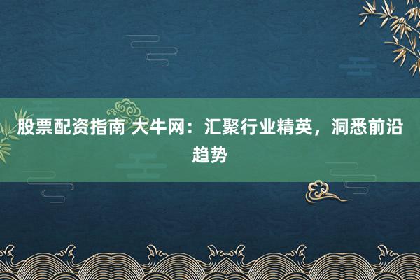 股票配资指南 大牛网：汇聚行业精英，洞悉前沿趋势