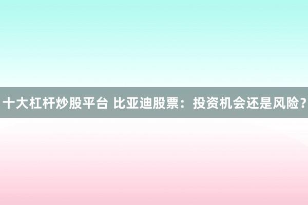 十大杠杆炒股平台 比亚迪股票：投资机会还是风险？